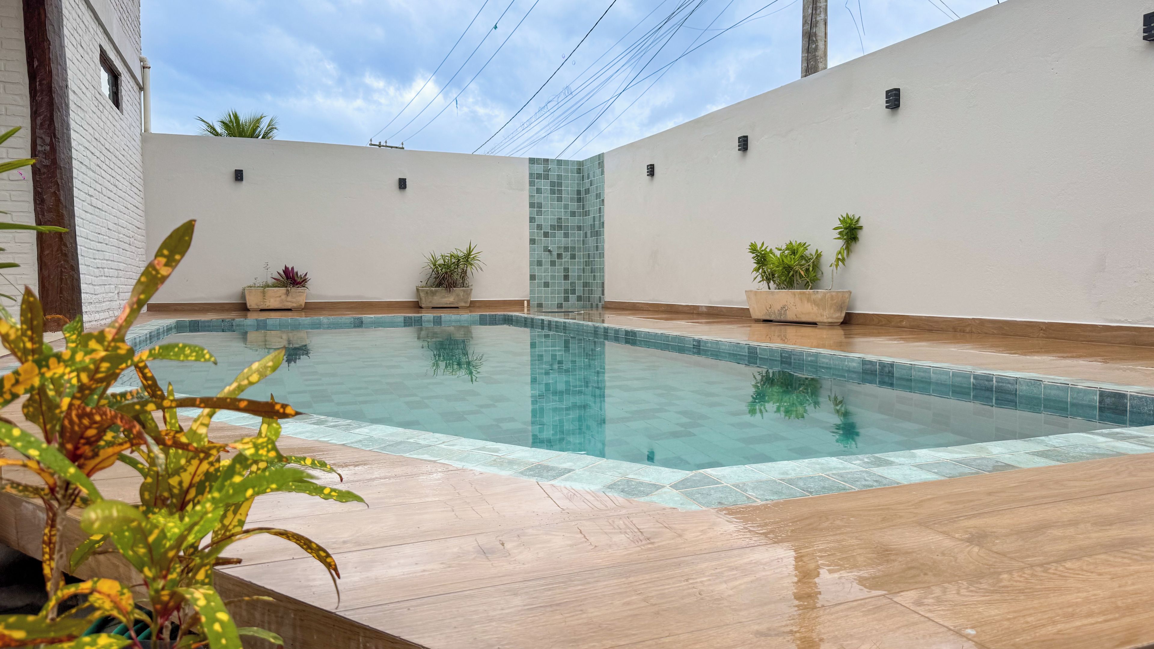 Una piscina con bordes de azulejos, rodeada de plantas en macetas y una pared blanca con un ventanal pequeño.
