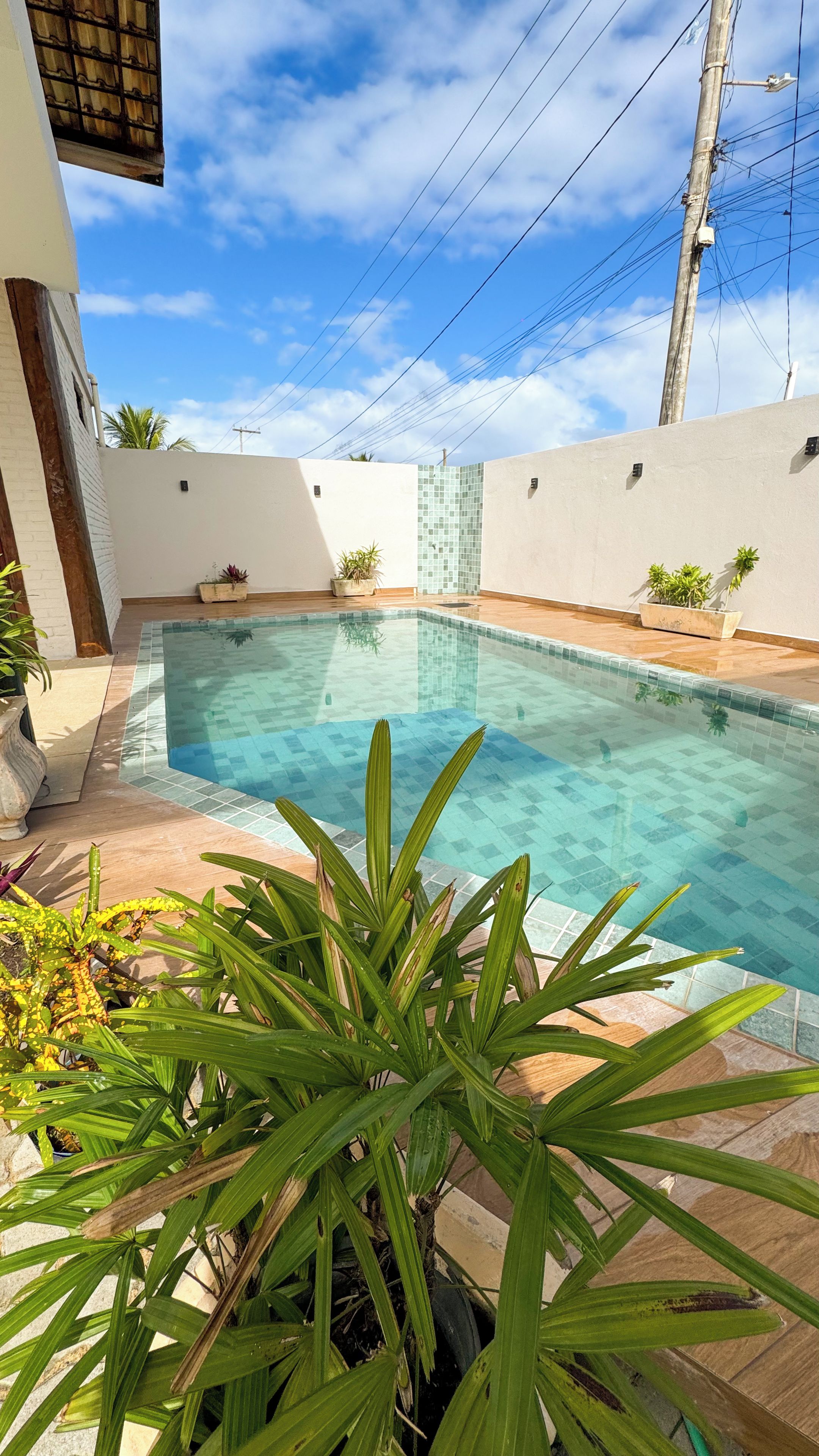 A swimming pool with tiled edges, surrounded by a low wall and potted plants.