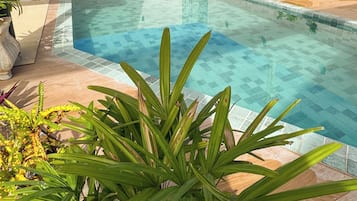 Una piscina con bordes de azulejos, rodeada por un muro bajo y plantas en macetas.