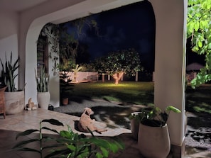 A patio area with a dog sitting on a mat, surrounded by potted plants and a view of a garden at night.