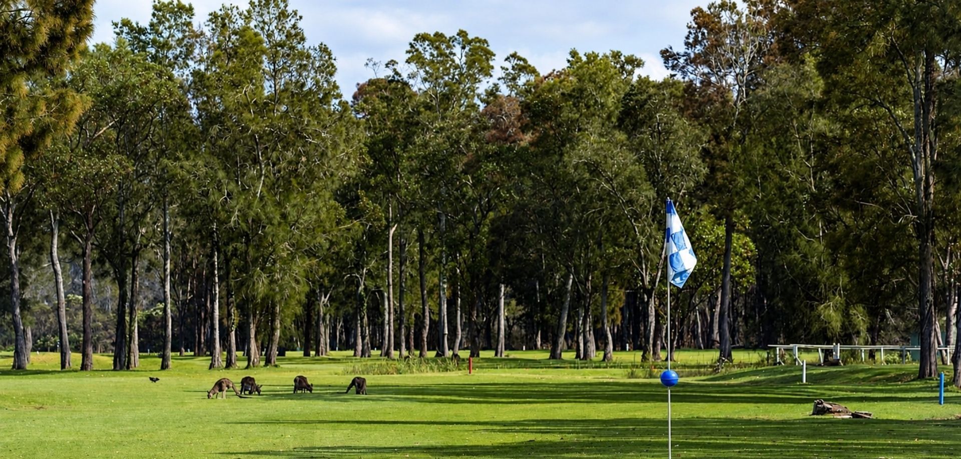 Bellaburra | 850m to Club Callala and golf course