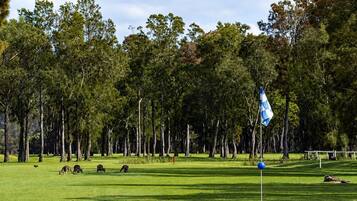 Bellaburra | 850m to Club Callala and golf course