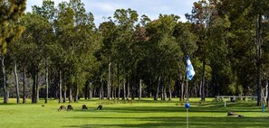 Bellaburra | 850m to Club Callala and golf course - Bellaburra – relaxed family beach house near Callala Beach (Callala Beach)
