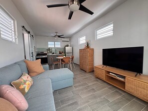 Living area - Perfect 1-bedroom studio with AC in enjoyable Carolina (Carolina)