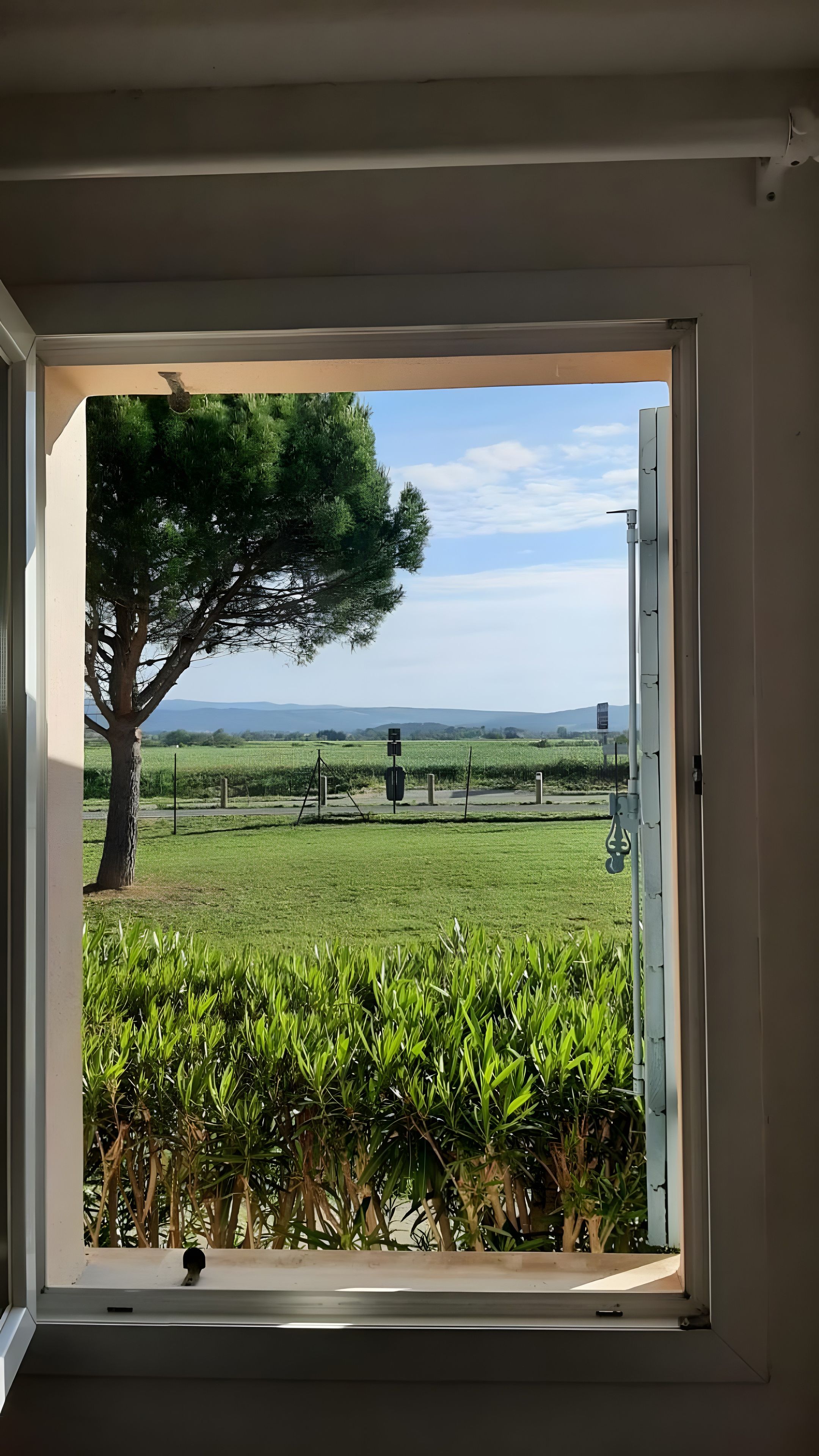 Una ventana con vista a un campo verde, un árbol y colinas distantes.