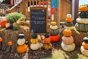 A pumpkin display with a sign indicating prices are based on the whole stack. - Cozy Highland Cow Retreat - 4 Mi to JMU (Penn Laird)