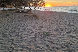 Une plage où le sable forme des motifs et où la végétation est clairsemée.