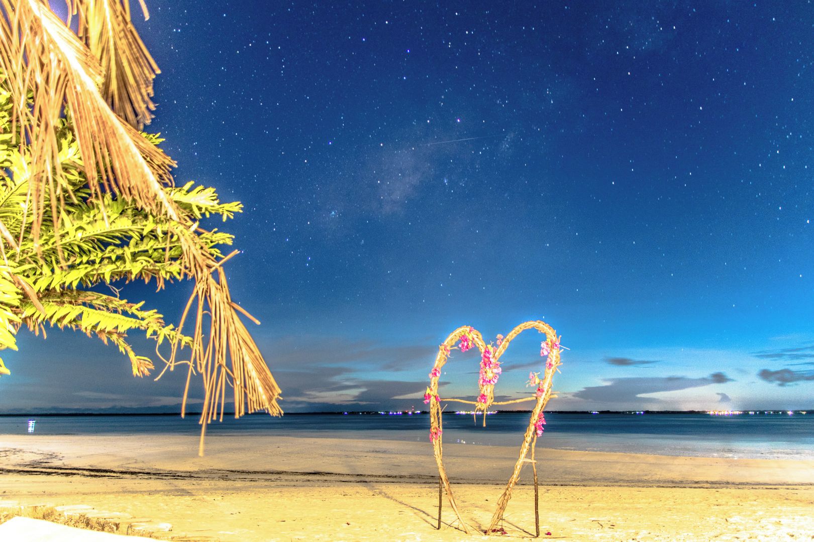A beach with a starry night sky, a palm tree, and a decorative arch made of branches and flowers.