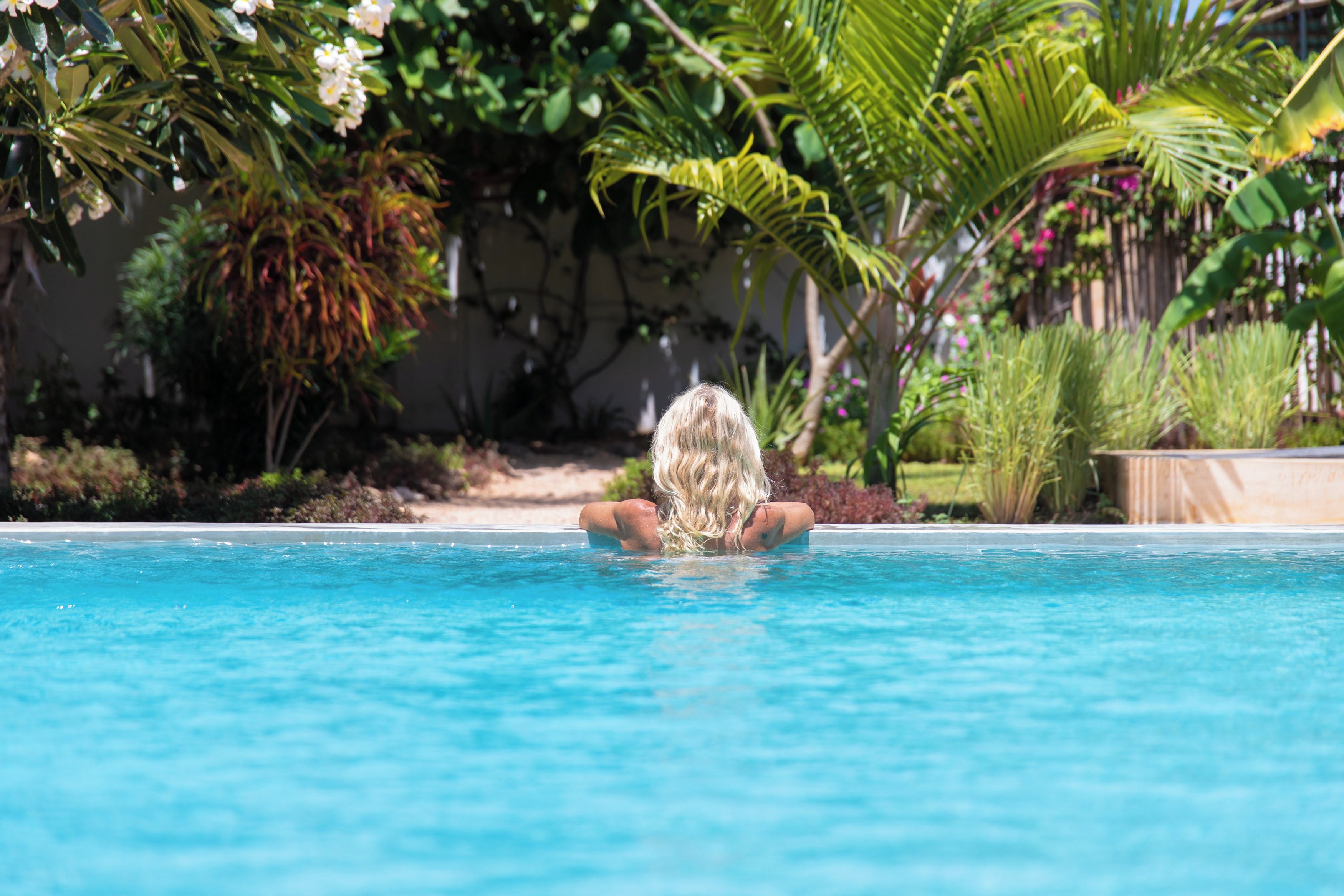 A swimming pool with clear blue water, surrounded by lush greenery and palm trees.