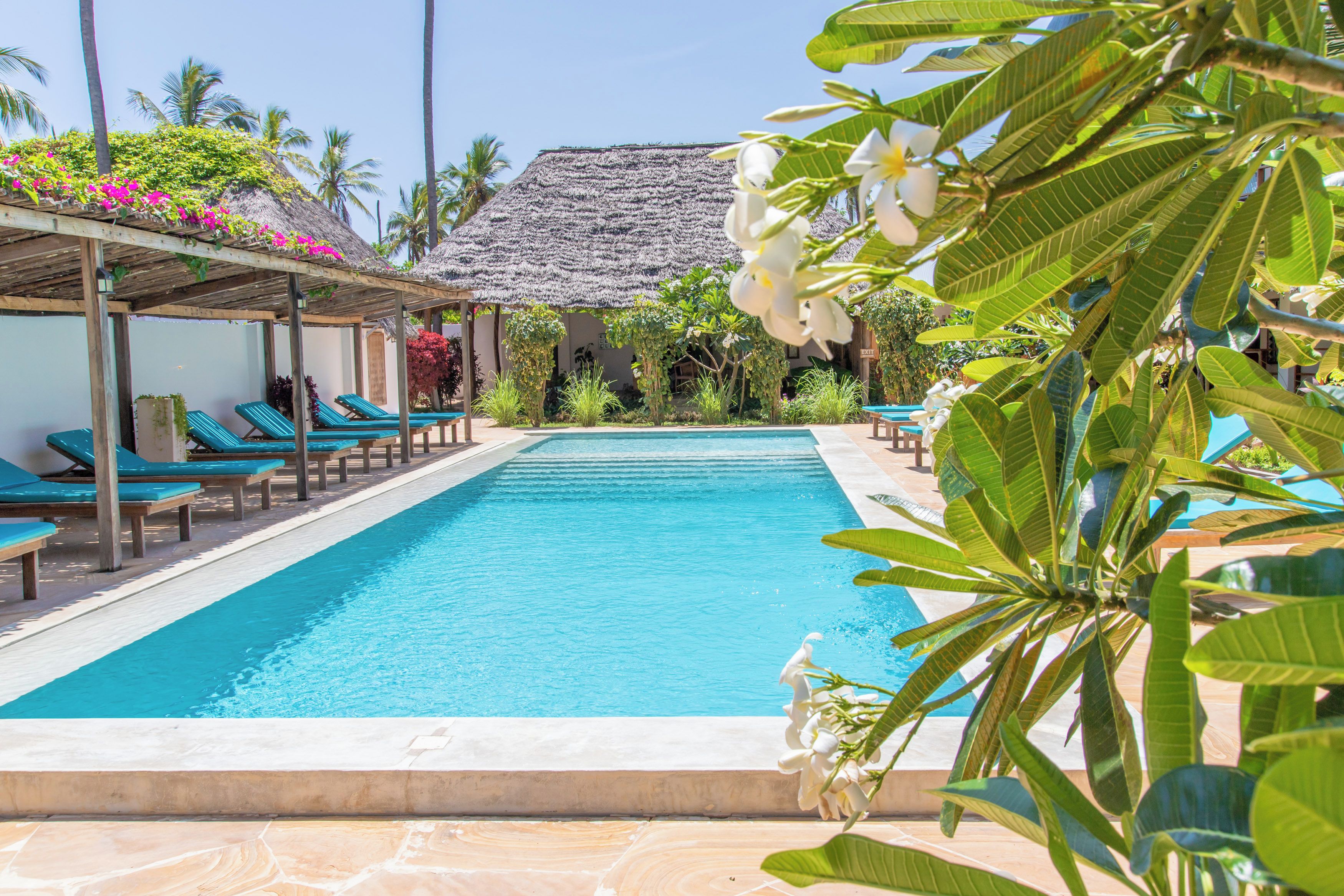 A pool area with lounge chairs and a thatched-roof structure.
