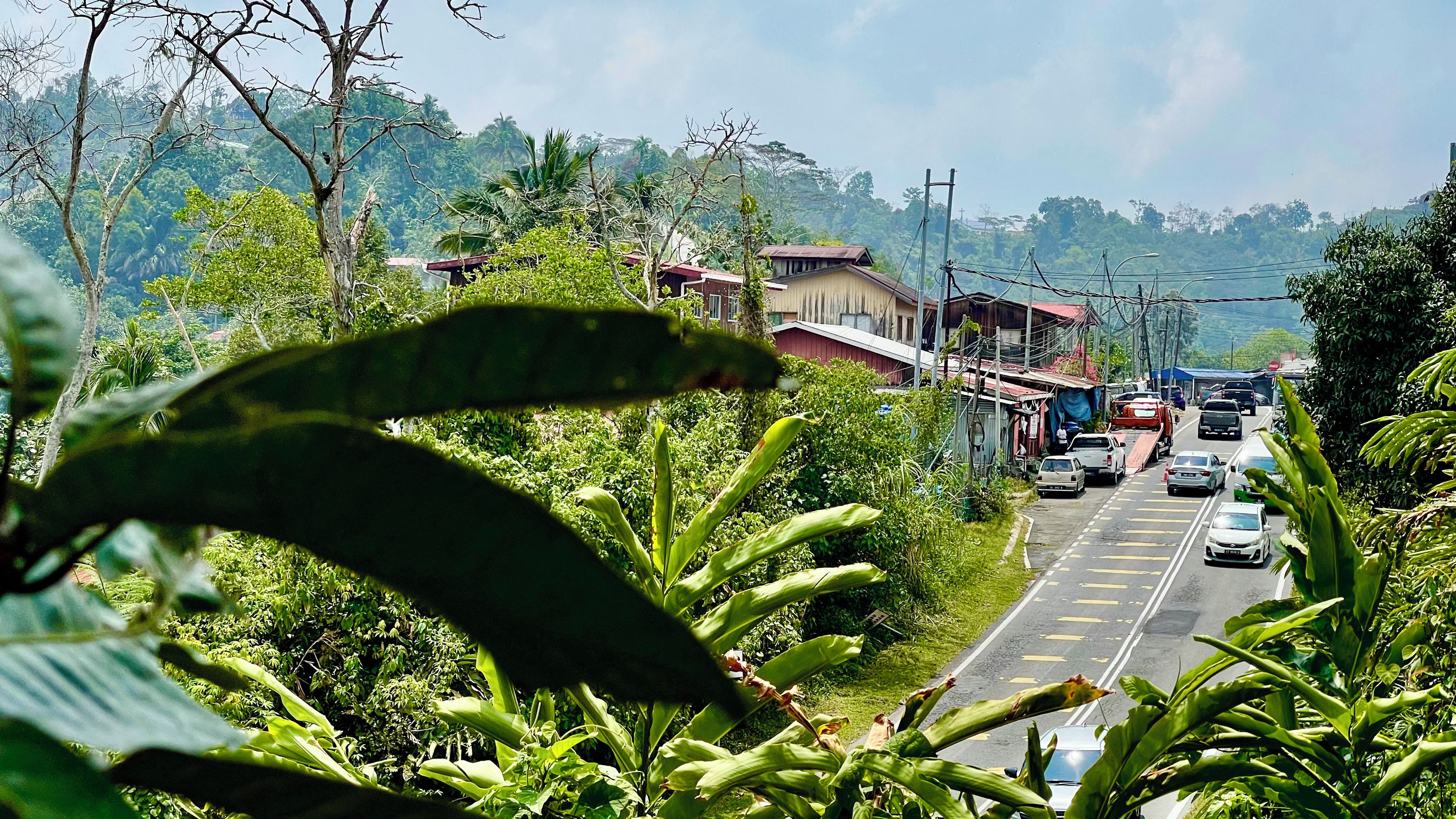Una carretera con vehículos, rodeada de exuberante vegetación y edificios.
