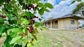 Una casa de madera rústica con porche, rodeada de césped y un árbol con frutos maduros.