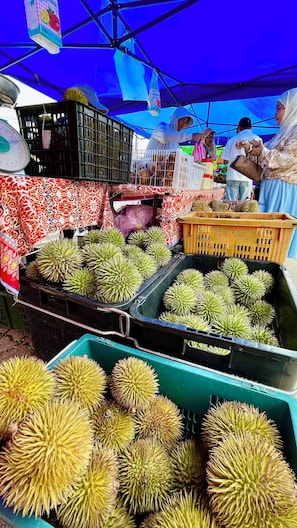Un puesto de mercado con duriones exhibidos en cajas.