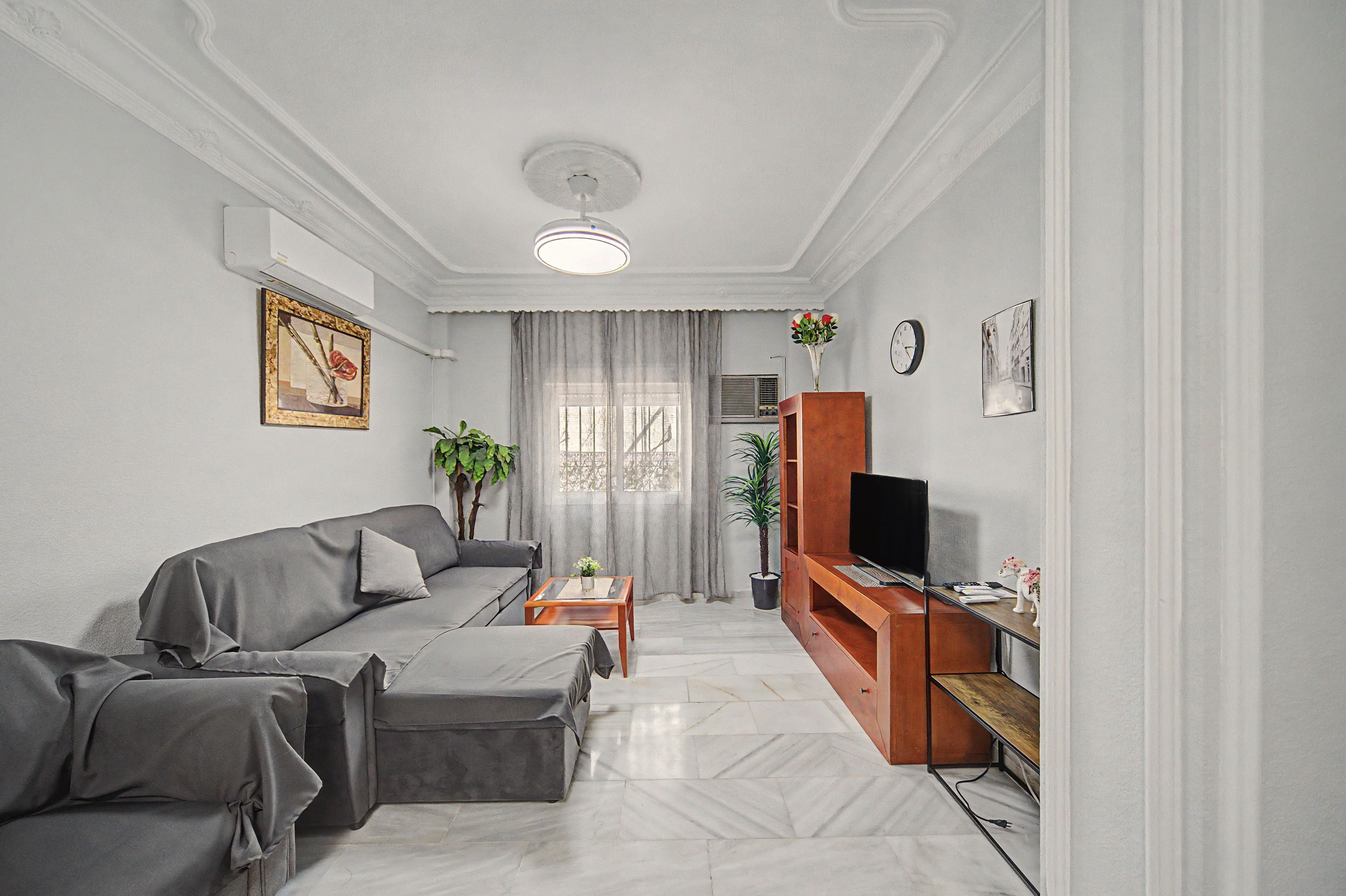 A living room with a sofa, a coffee table, a TV stand, and a potted plant.