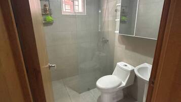Un baño con ducha de vidrio, inodoro y lavamanos.