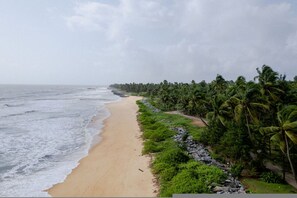 A beach with a sandy shore, palm trees, and a rocky path.