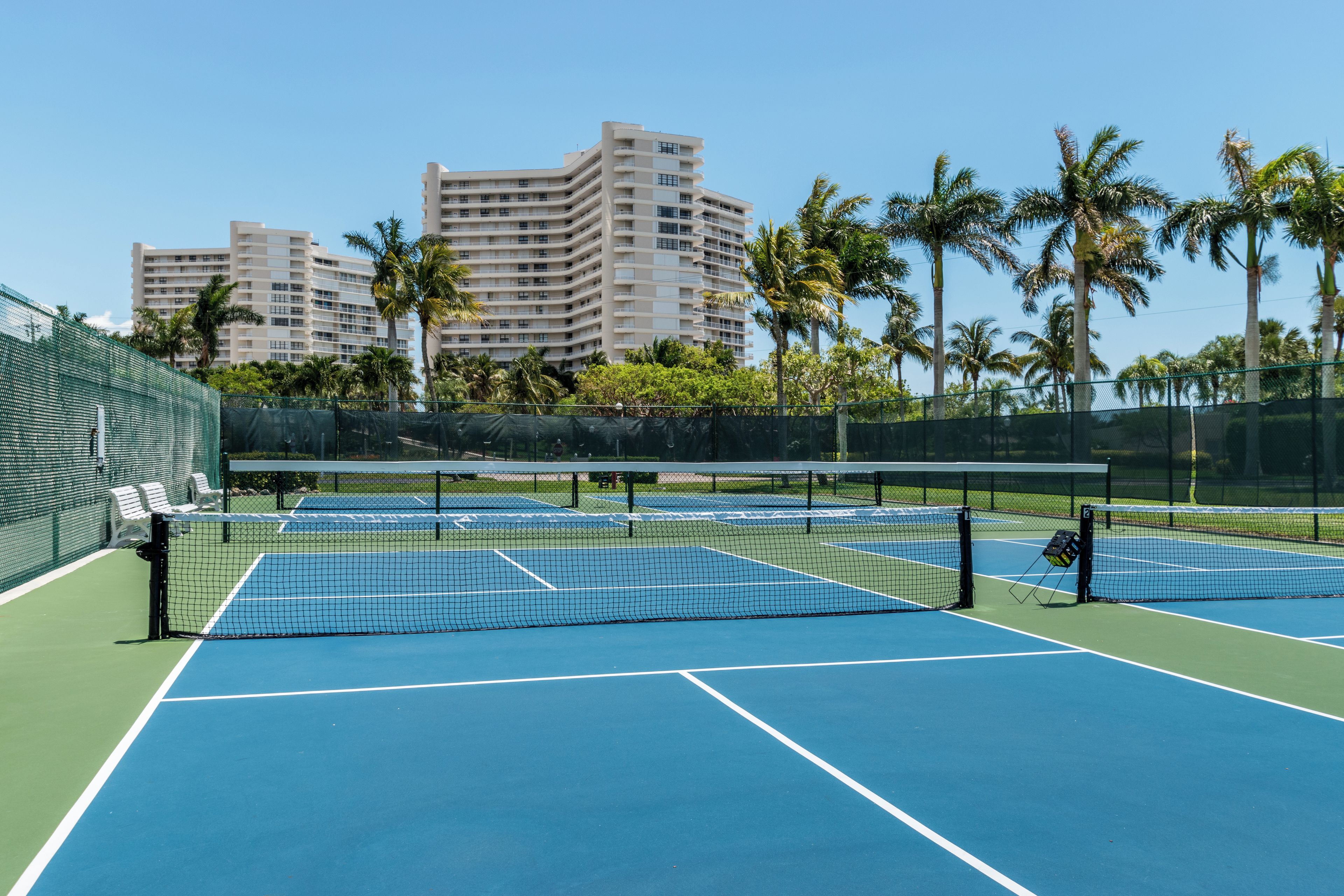 Un campo da tennis con una rete, circondato da una recinzione e palme sullo sfondo.