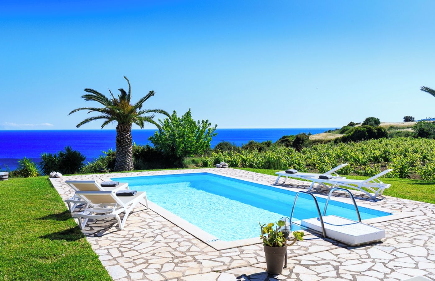 Une piscine rectangulaire bordée de pierres, entourée d’une terrasse également en pierre. On y trouve des chaises longues et un pot de fleurs.