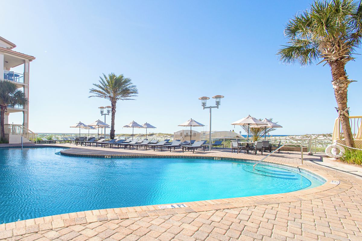 A swimming pool with lounge chairs and umbrellas, surrounded by palm trees and a clear sky.