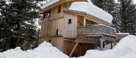 A wooden cabin with a sloped roof, surrounded by snow and trees.