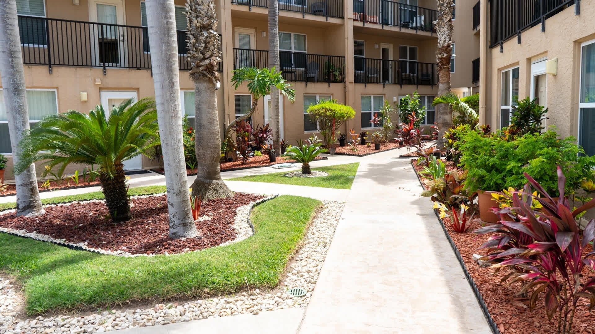 A courtyard with a pathway, palm trees, and various plants.