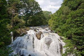A waterfall surrounded by dense greenery. - Hendre-Llangwm -  a self catering cottage that sleeps 5 guests  in 3 bedrooms (Llangwm)