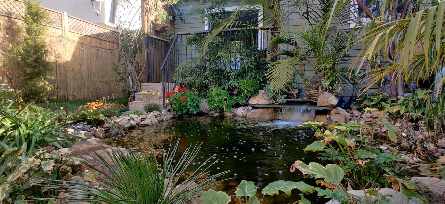 Een klein vijvertje met een waterval, omgeven door diverse planten en rotsen.