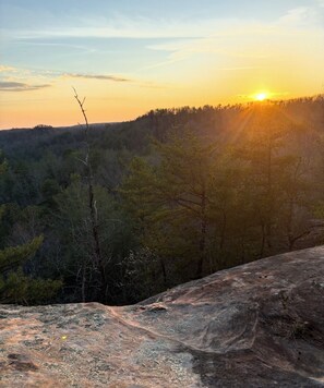 Un paysage naturel avec un lever ou un coucher de soleil, des arbres et un premier plan rocheux.