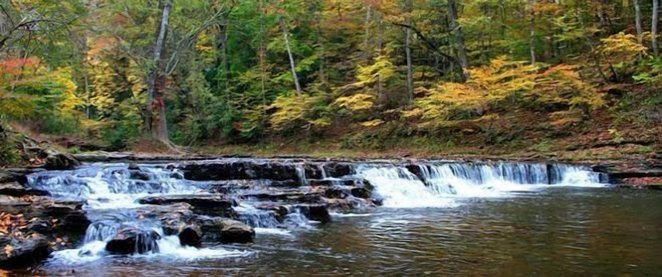 A waterfall in a forested area with trees in autumn colors.