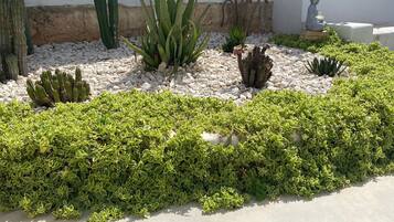 A garden with various cacti and succulents, a statue, and a white wall.