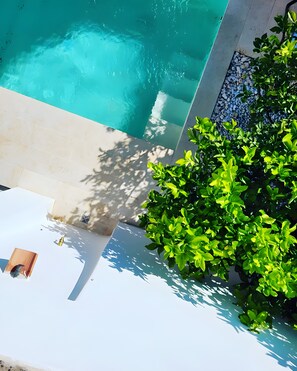 A swimming pool with clear water, surrounded by a tiled deck and a green bush.