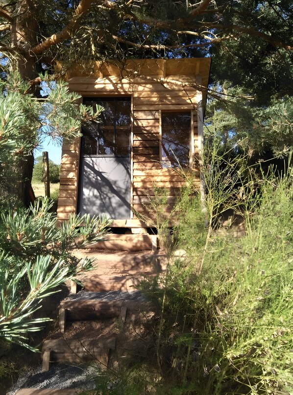 A wooden cabin with a door and windows, surrounded by trees and shrubs.