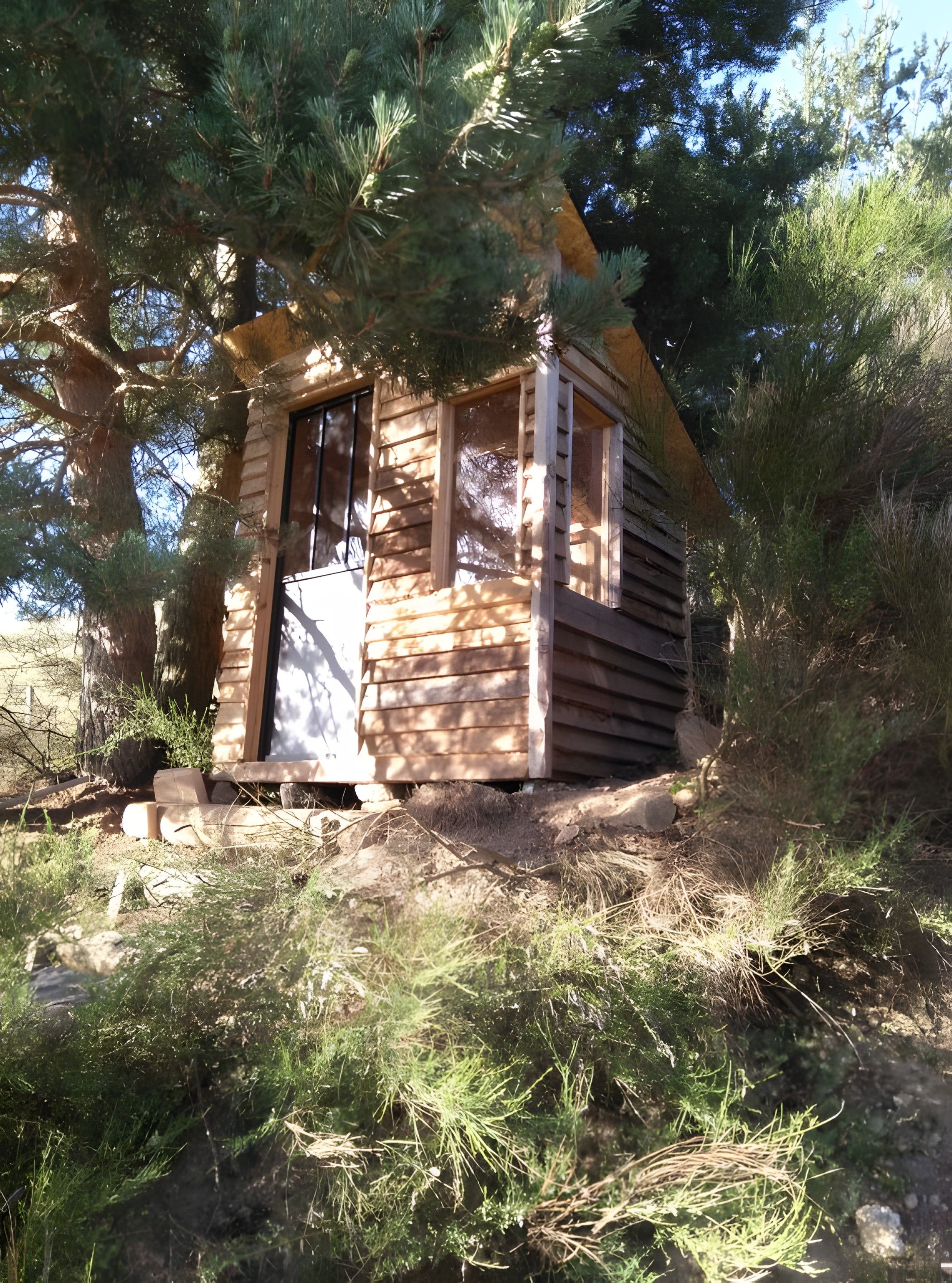 A small wooden cabin with a door and windows, surrounded by trees and vegetation.