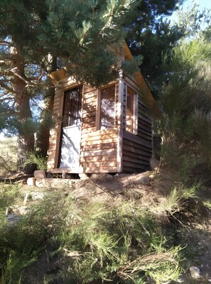 A small wooden cabin with a door and windows, surrounded by trees and vegetation.