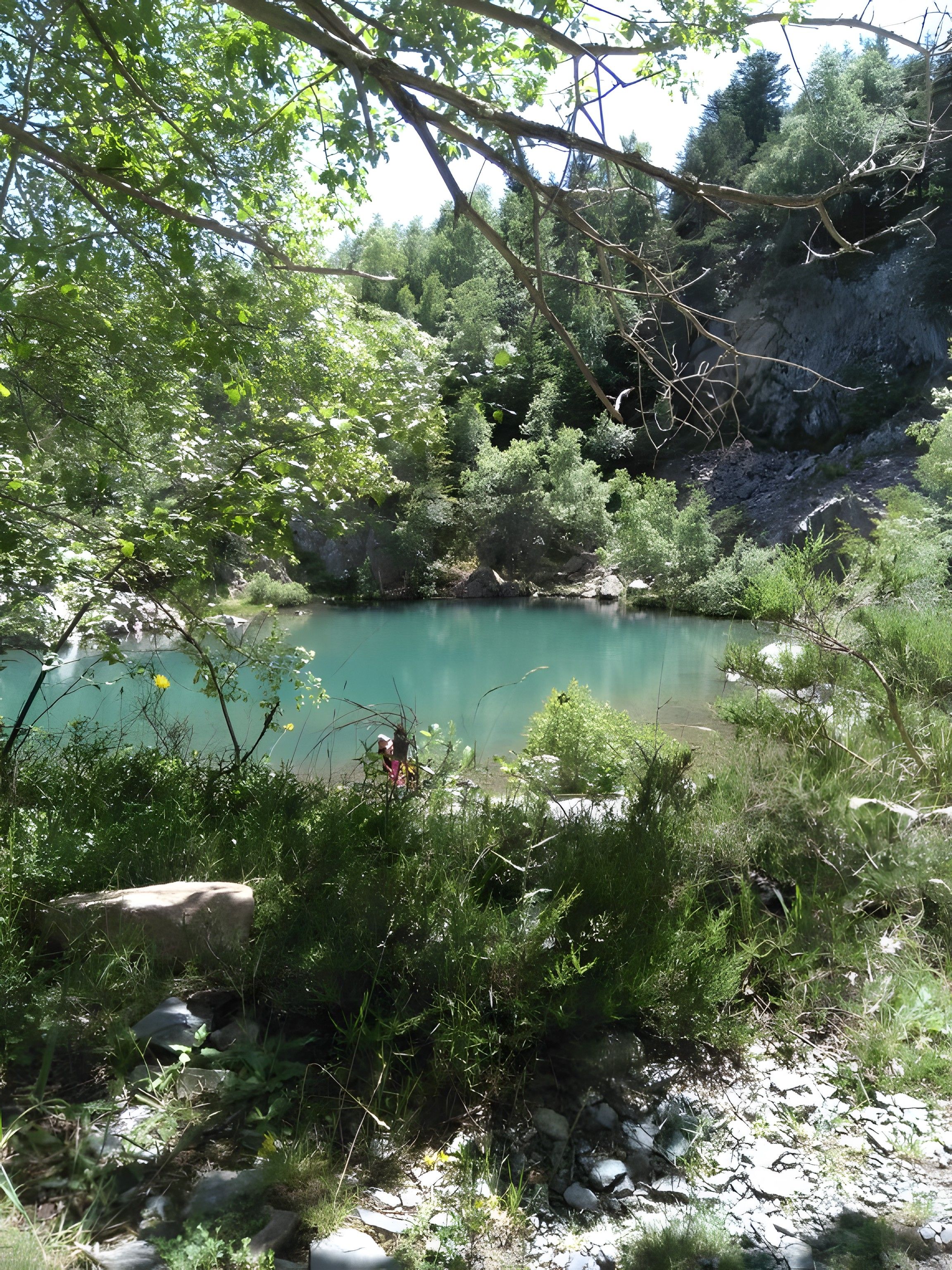 Eine natürliche Landschaft mit einem Gewässer, umgeben von dichter Vegetation und felsigem Gelände.
