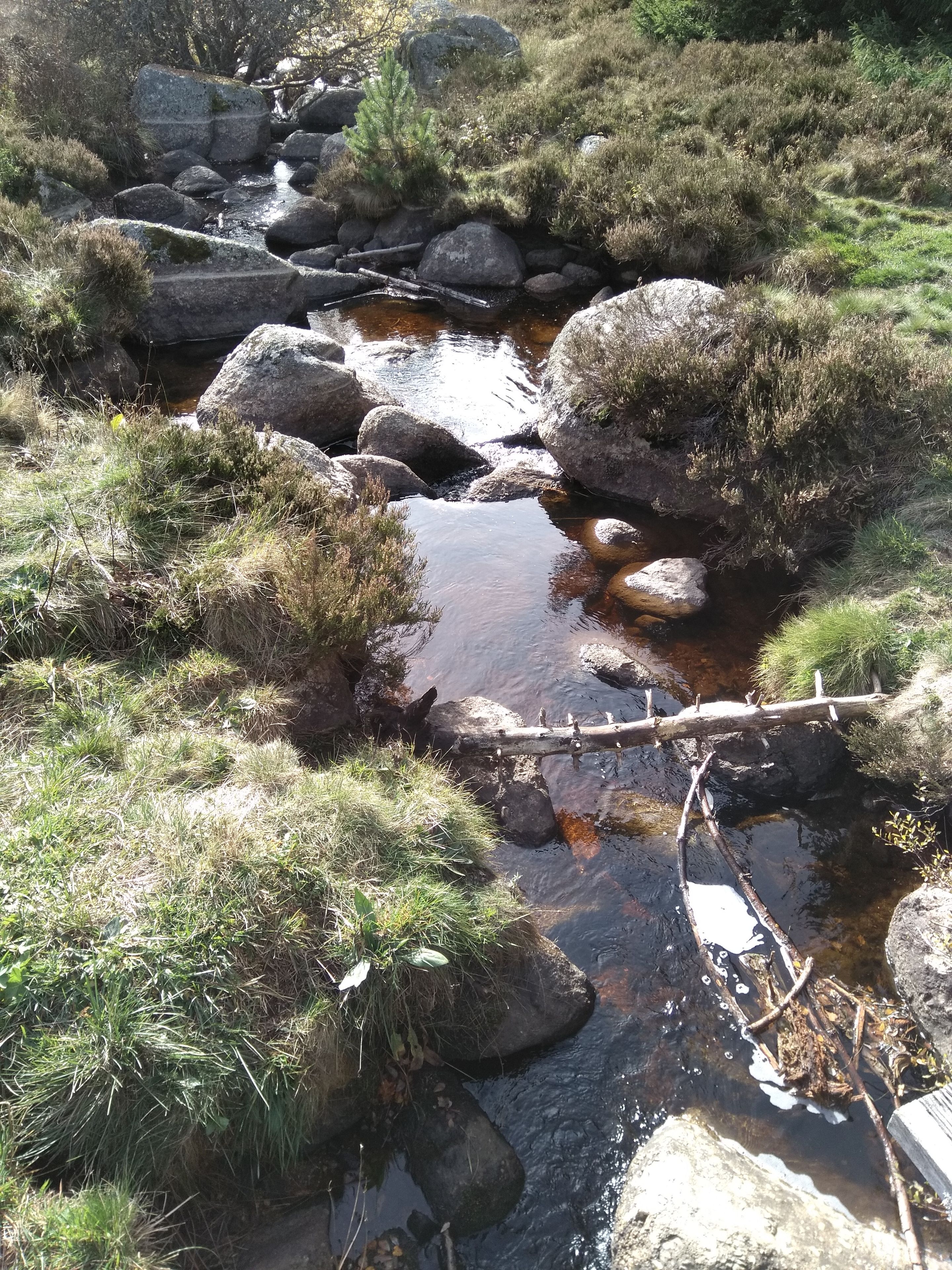 Un cadre naturel en plein air, avec un ruisseau, des rochers et de la végétation.