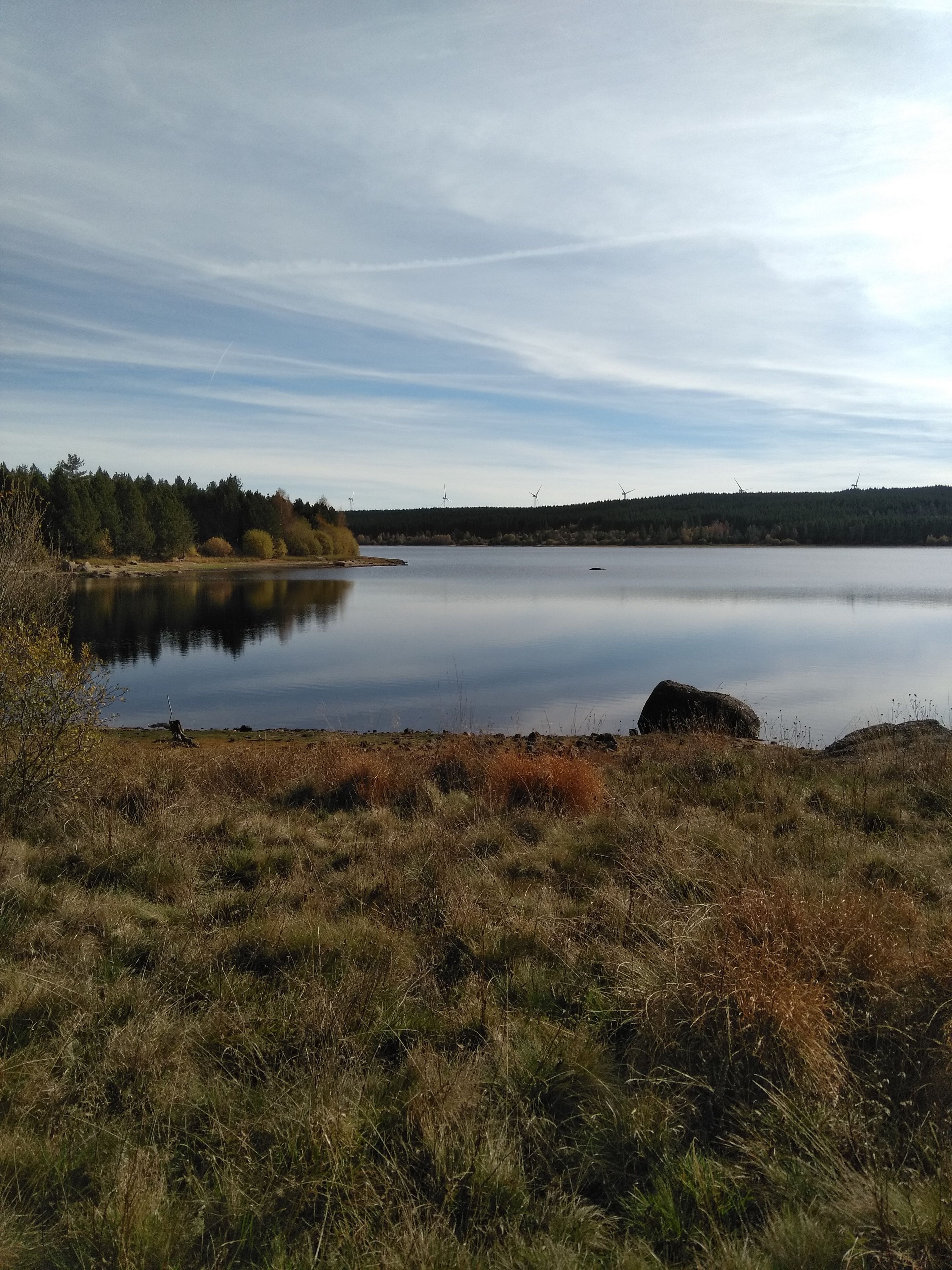 A calm lake with a forested shoreline and wind turbines in the distance.
