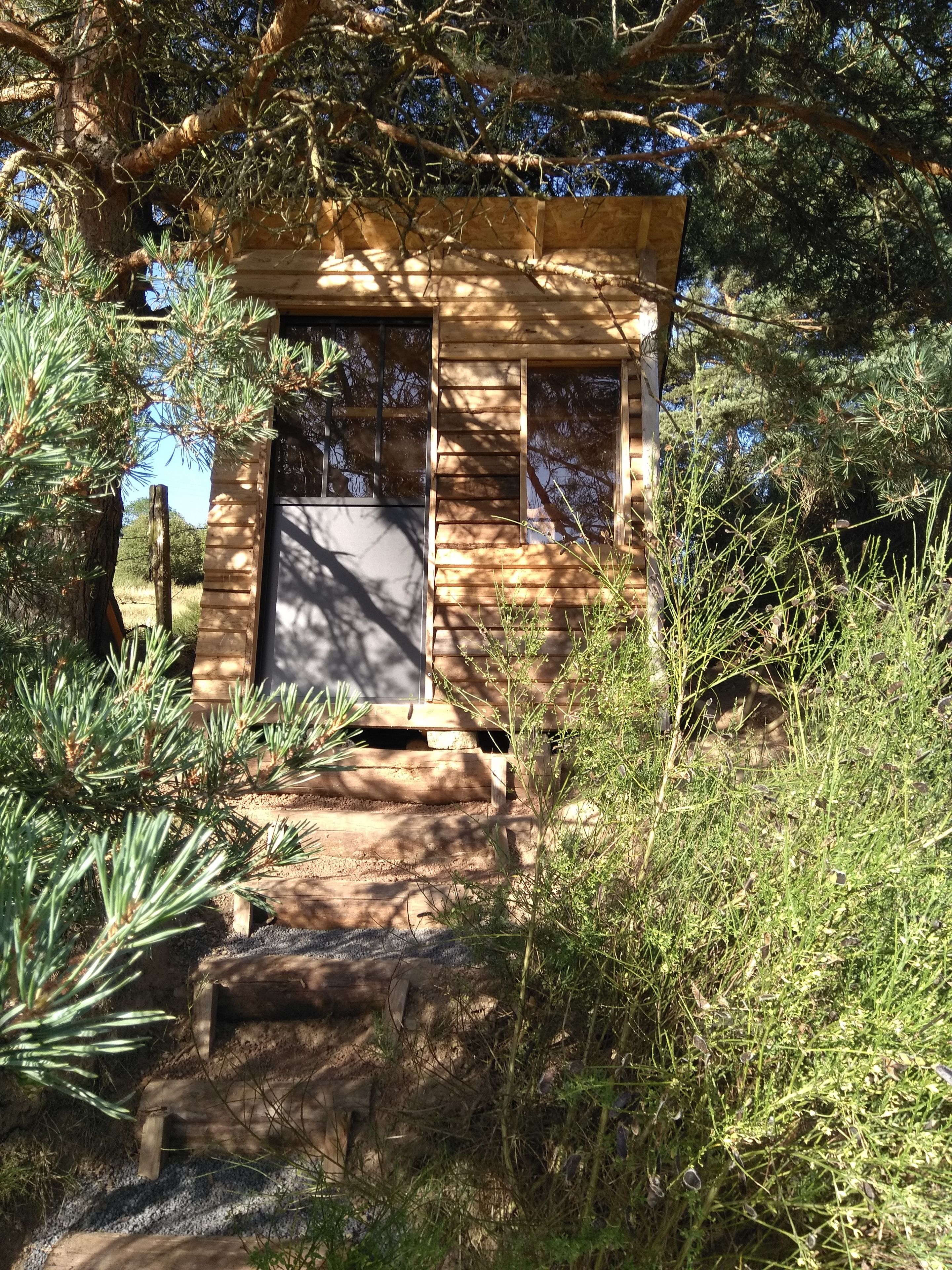 Una pequeña cabaña de madera con puerta y ventanas, rodeada de follaje denso y árboles.