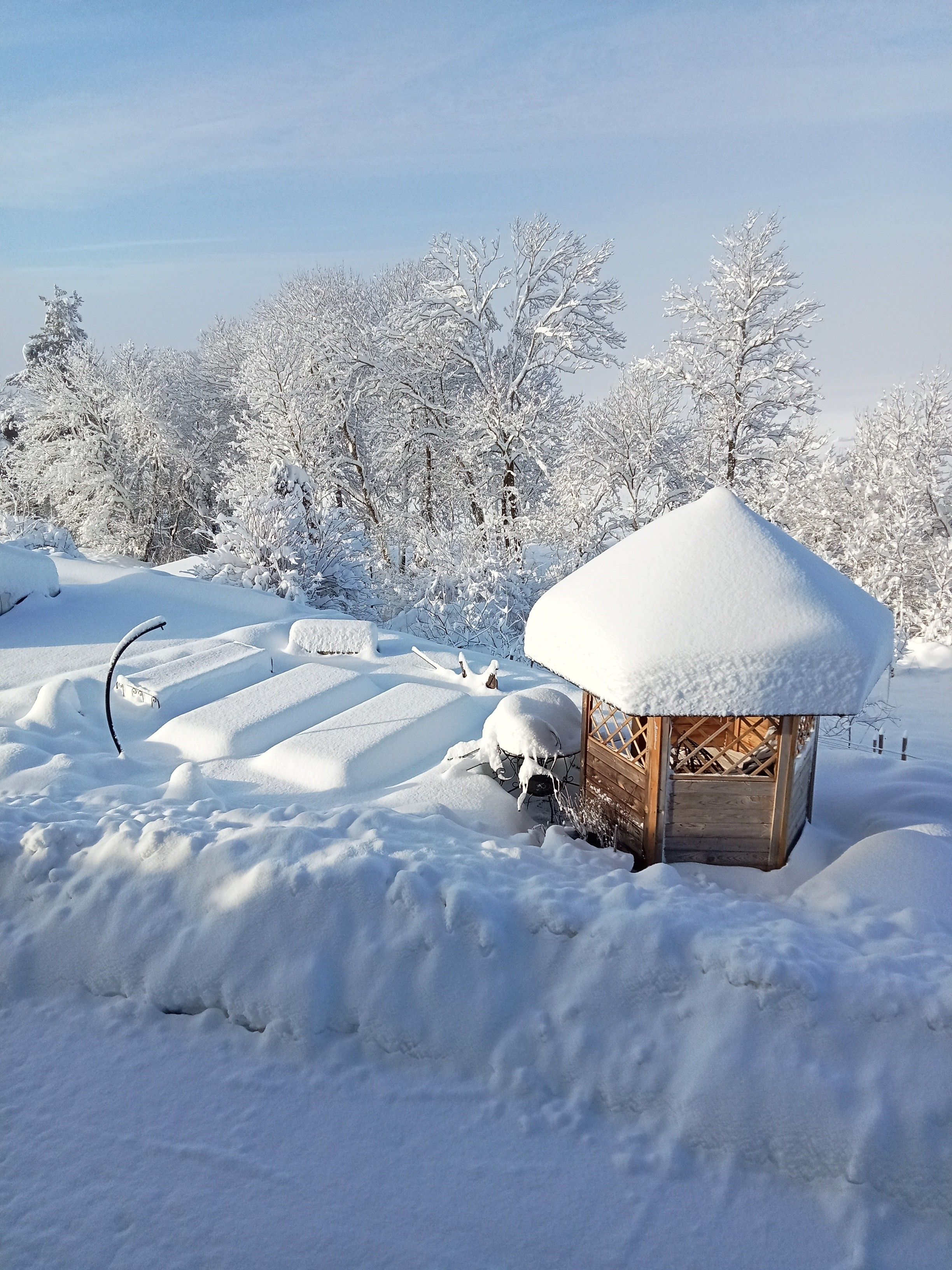 Una cabaña de madera cubierta de nieve con techo nevado, rodeada de árboles cargados de nieve y un cielo despejado.