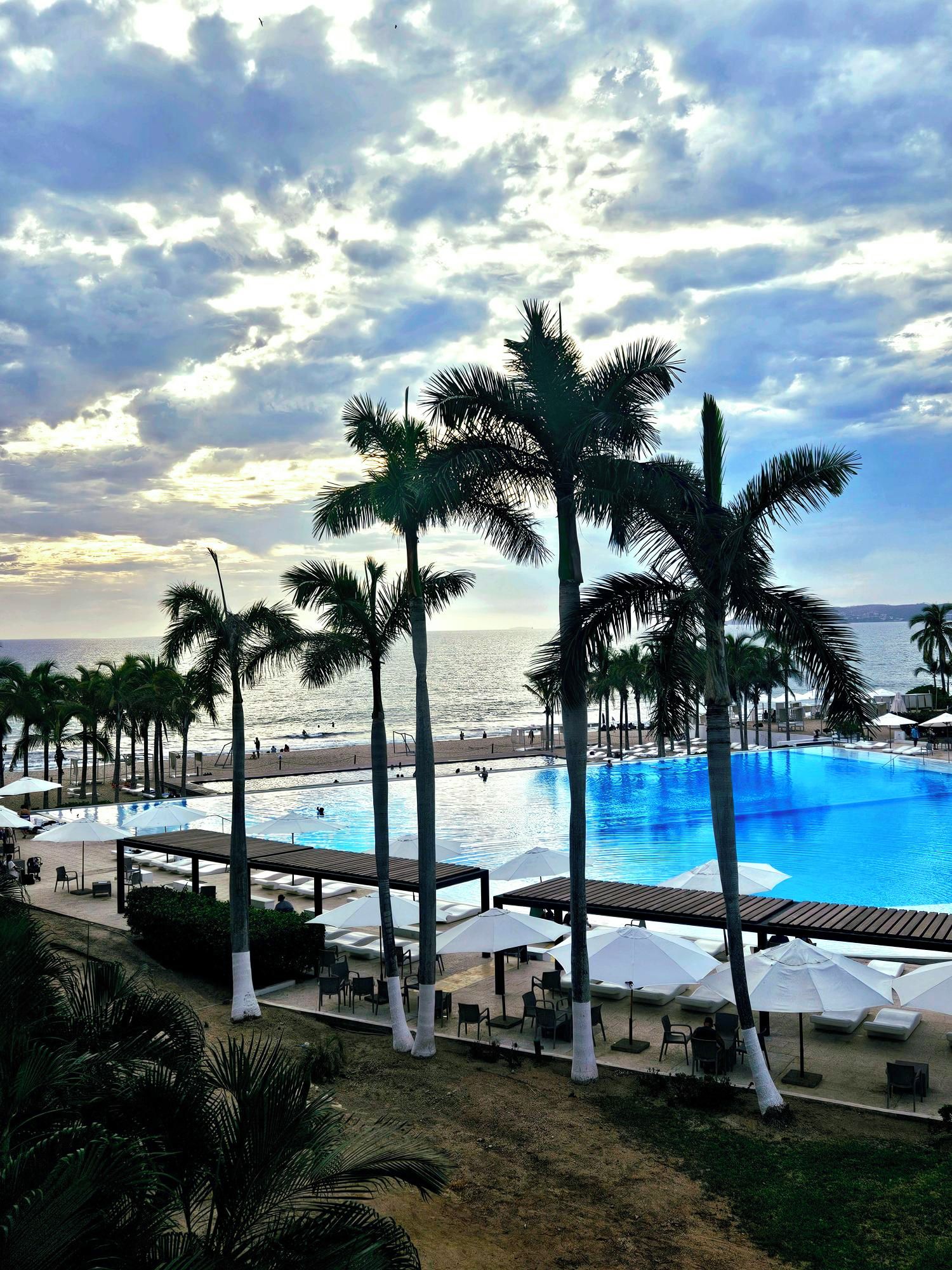 A resort pool area with palm trees, lounge chairs, and umbrellas.