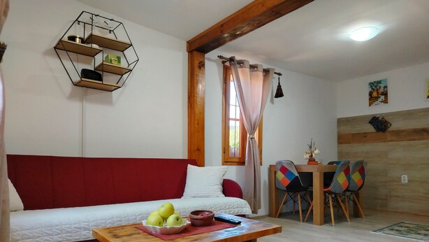 Una sala de estar acogedora con un sofá rojo, una mesa de centro de madera con manzanas, un estante hexagonal y un comedor con una silla colorida.