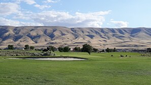 A golf course with a large sand bunker, a flag, and a backdrop of rolling hills. - Cozy Beach Place Cottage 3-bedroom house with AC in charming Desert Aire (Mattawa)