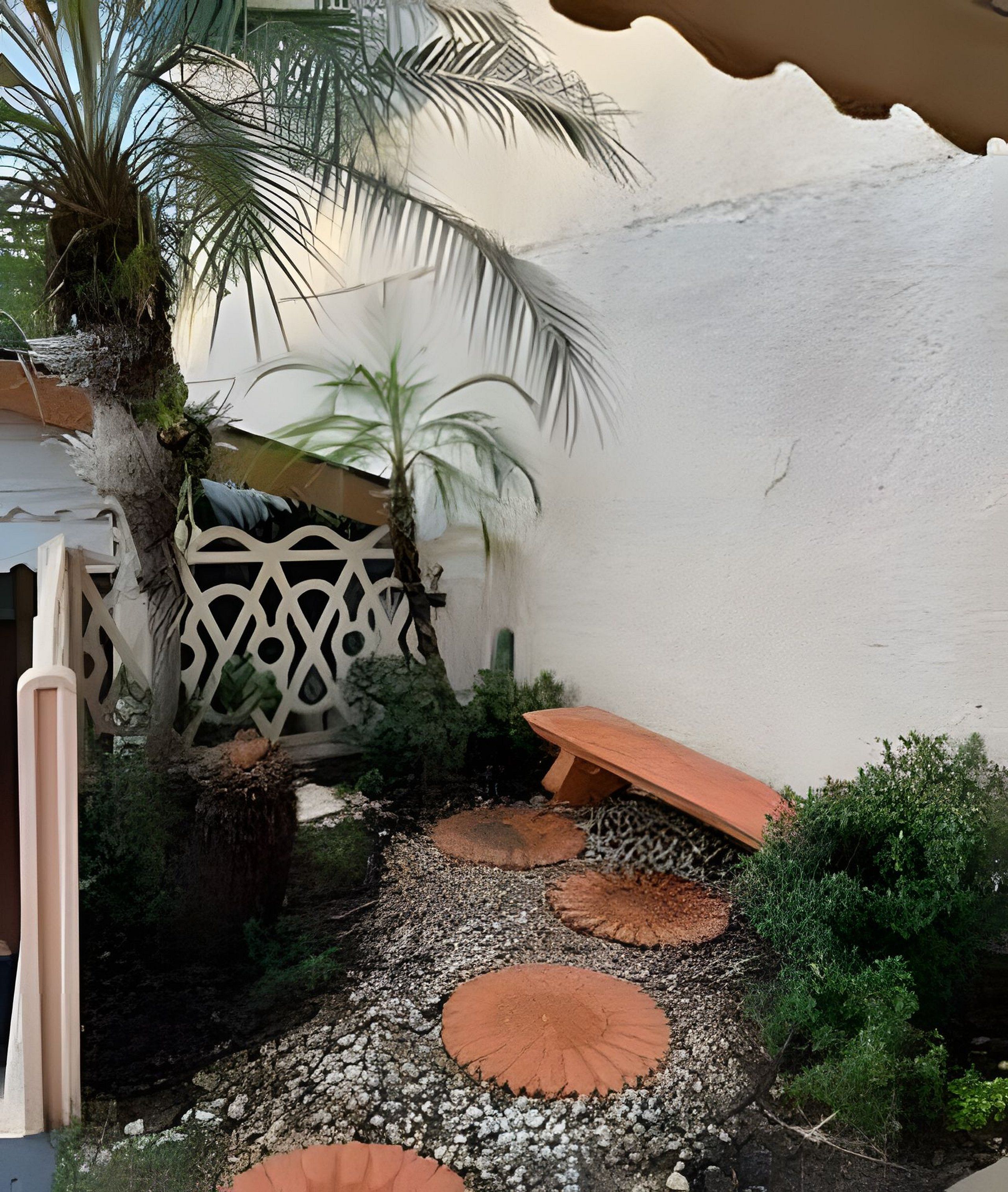 A courtyard with a palm tree, a bench, and a decorative wall.