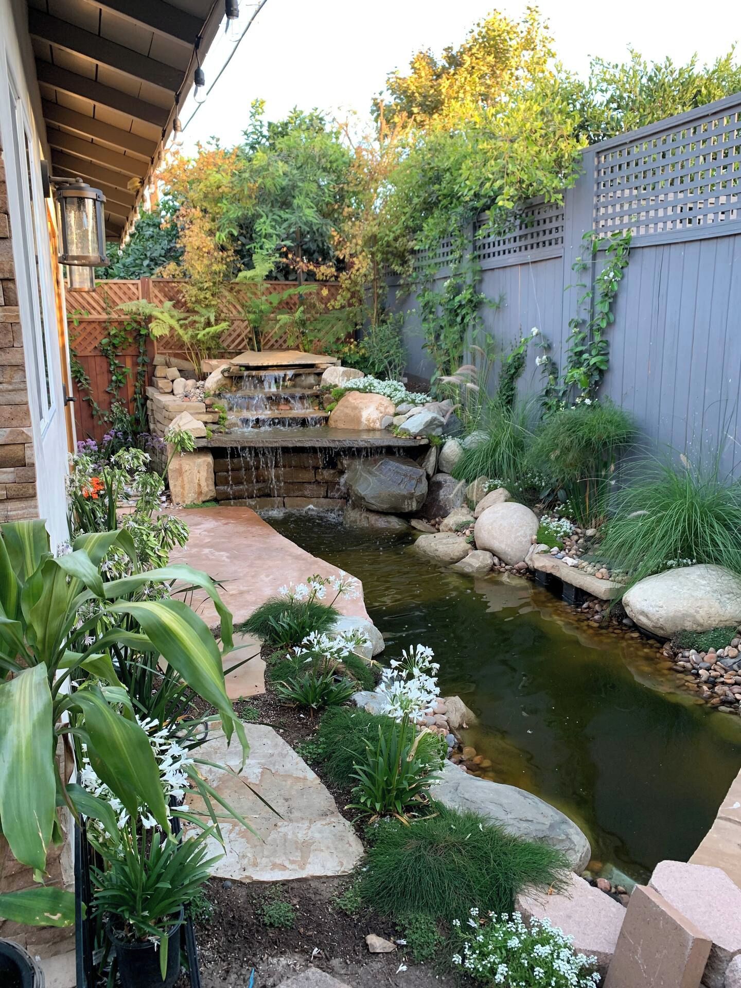 A garden with a small pond, rocks, and plants.