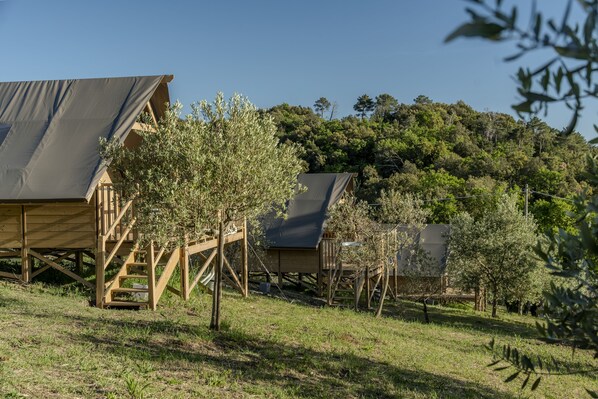 A campsite with wooden structures and a clear sky.