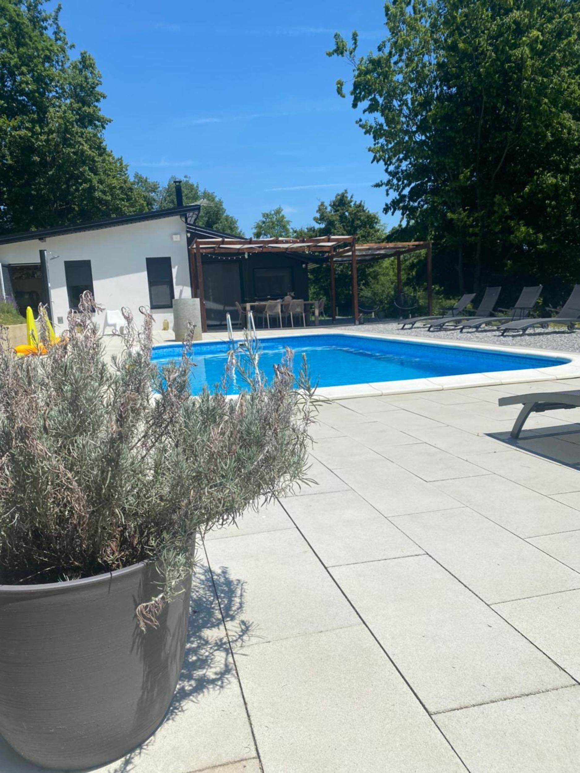 Una piscina con sillas de descanso y una pérgola, rodeada de un patio con una planta en maceta.