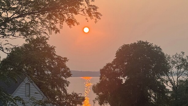 Un atardecer sobre un cuerpo de agua, con árboles enmarcando la vista.