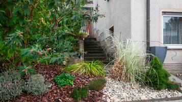 Een tuin met verschillende planten en een stenen trap die naar een gebouw leidt.