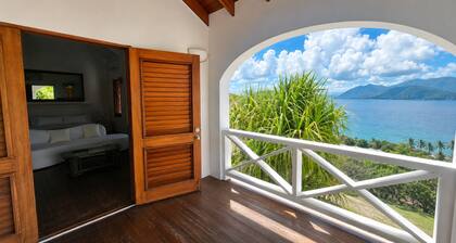 5 Bedroom Ocean and Nevis View Estate with Pool in upscale Turtle Beach Area