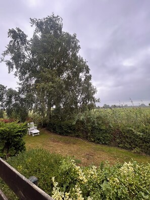A garden with a large tree, a white chair, and a hedge.